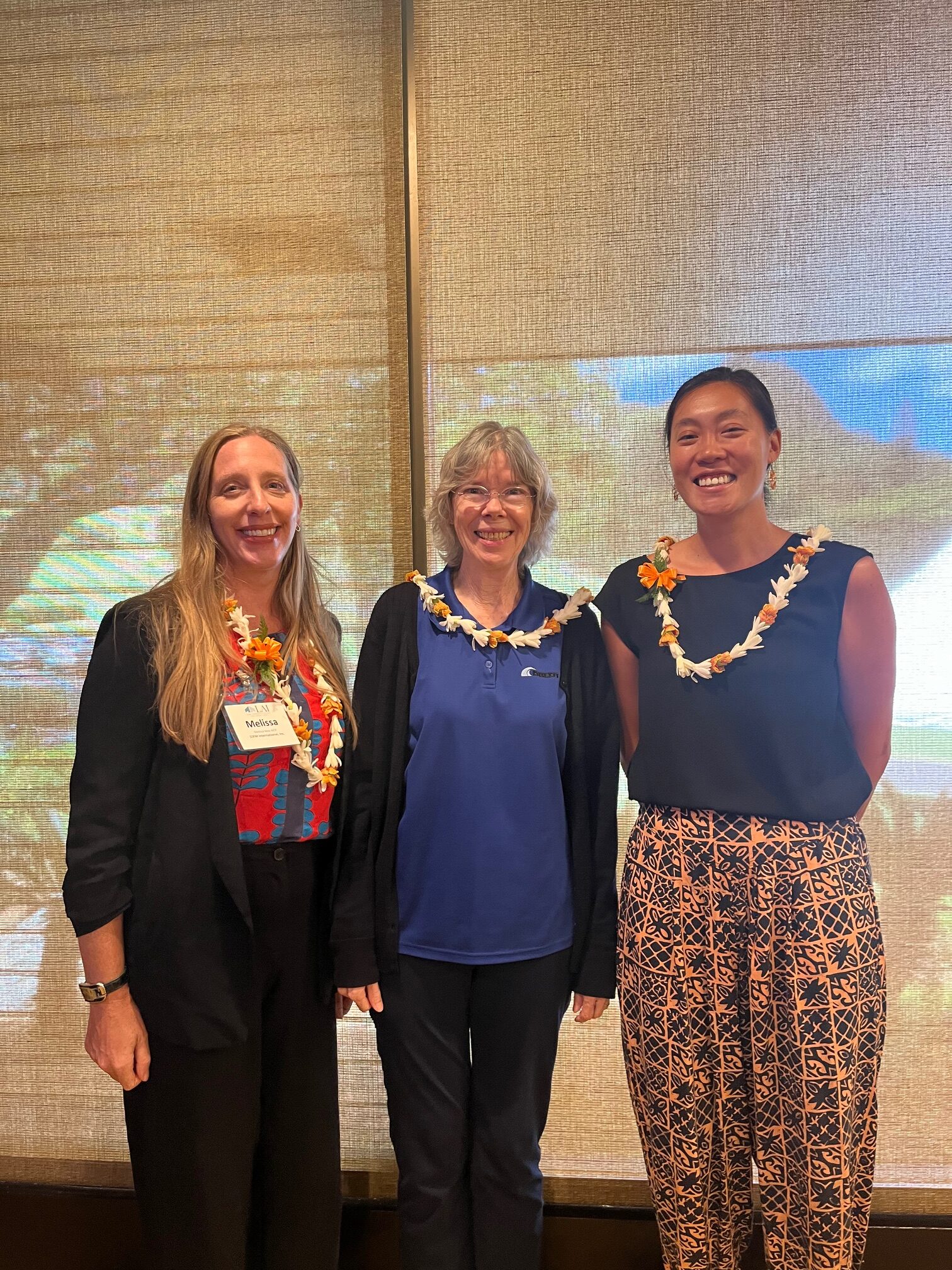 Featured image for “Fall Meeting – Managed Retreat: Charting a Resilient Future for Hawai‘i’s Coasts”